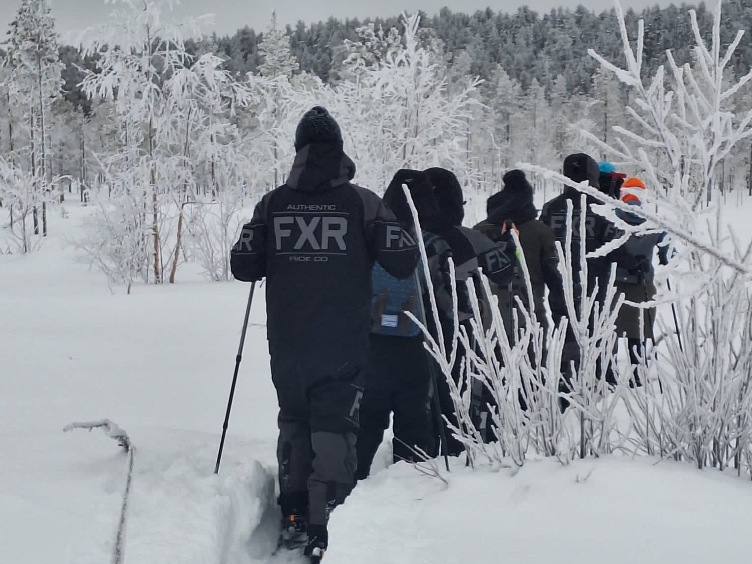 Gruppe von Gästen bei einer Schneeschuhwanderung im Neuschnee.